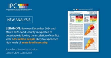 تفاقم انعدام الأمن الغذائي في لبنان نتيجة الصراع، وفقًا لتقرير جديد